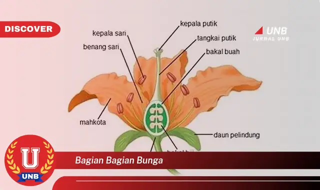 bagian bagian bunga