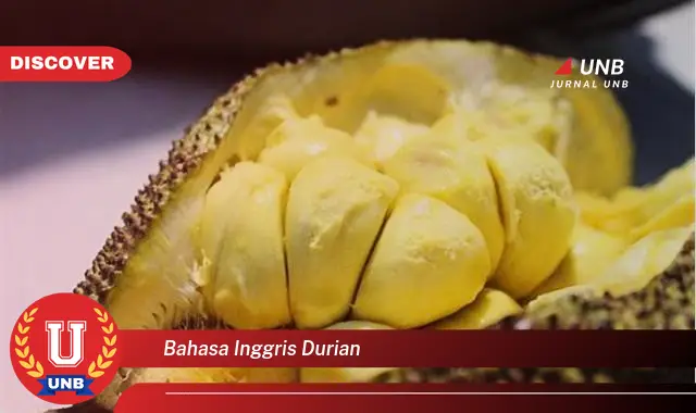 bahasa inggris durian