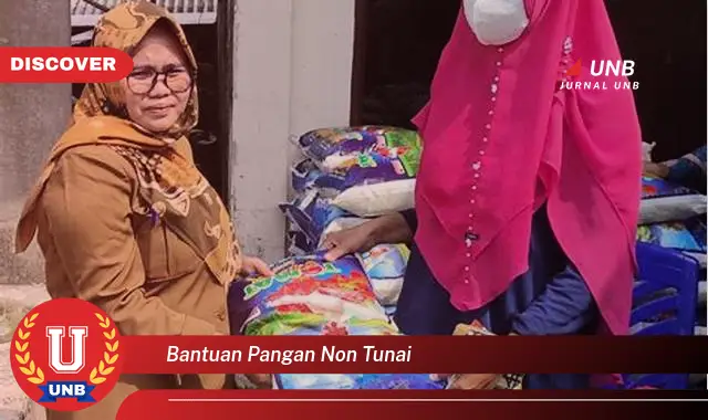 bantuan pangan non tunai