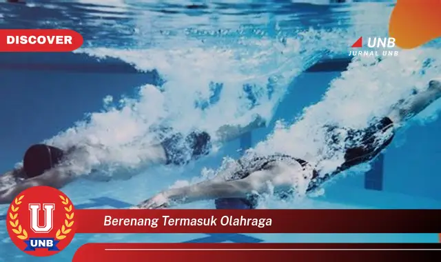 berenang termasuk olahraga