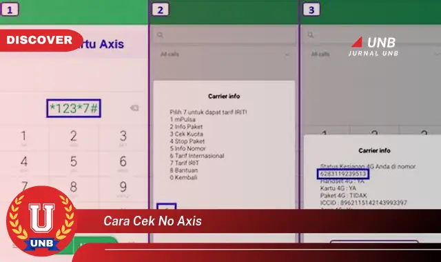 cara cek no axis