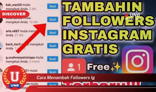 cara menambah followers ig