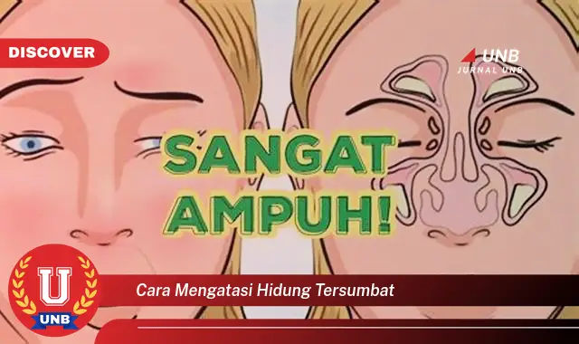 cara mengatasi hidung tersumbat