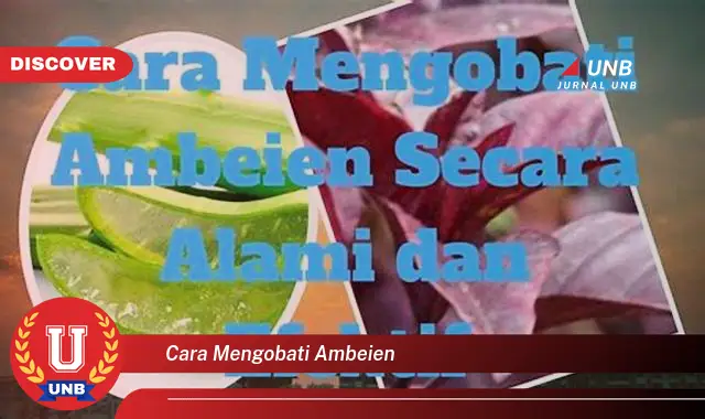 cara mengobati ambeien