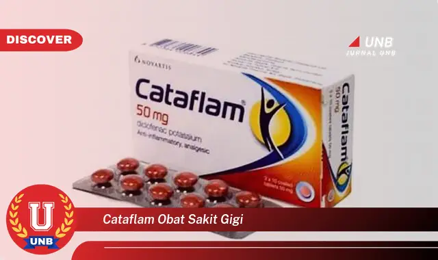 cataflam obat sakit gigi