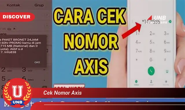 cek nomor axis