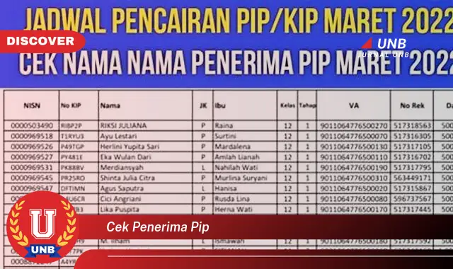 cek penerima pip