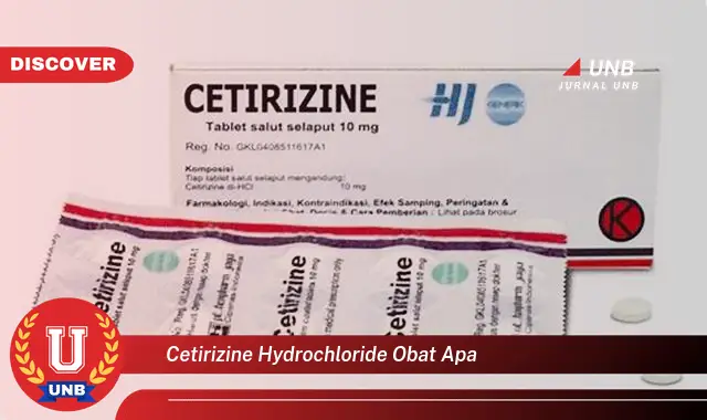 cetirizine hydrochloride obat apa