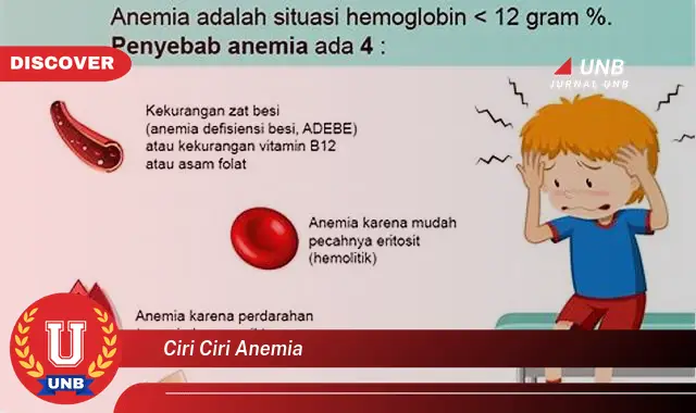 ciri ciri anemia