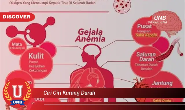 ciri ciri kurang darah