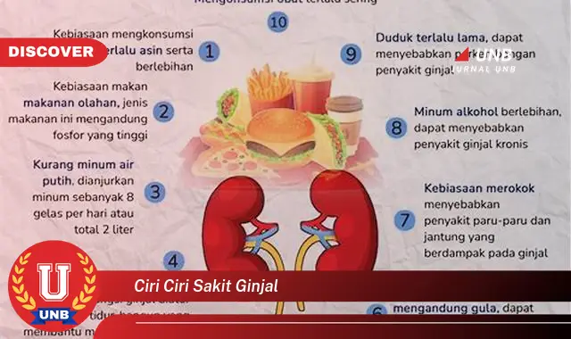 ciri ciri sakit ginjal