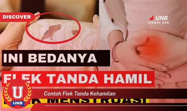 contoh flek tanda kehamilan