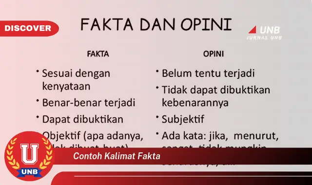 contoh kalimat fakta