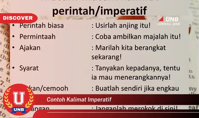 contoh kalimat imperatif