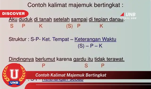 contoh kalimat majemuk bertingkat