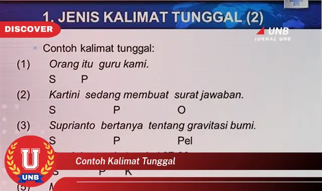 contoh kalimat tunggal