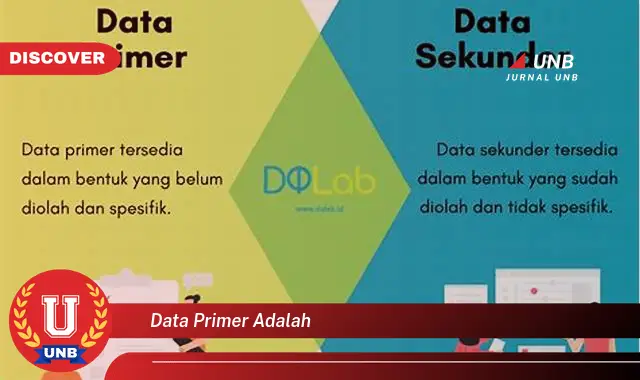 data primer adalah