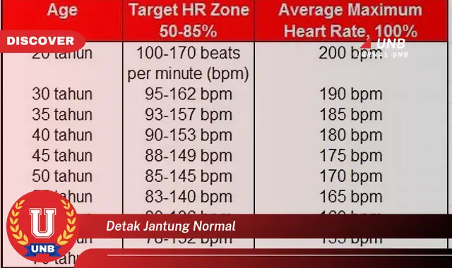 detak jantung normal