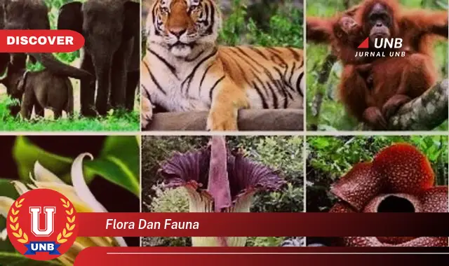 flora dan fauna