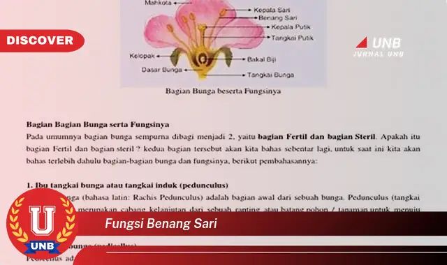 fungsi benang sari