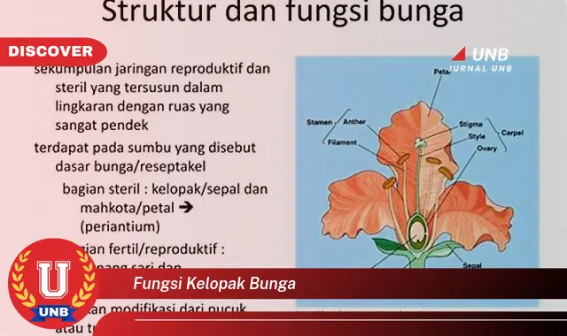 fungsi kelopak bunga