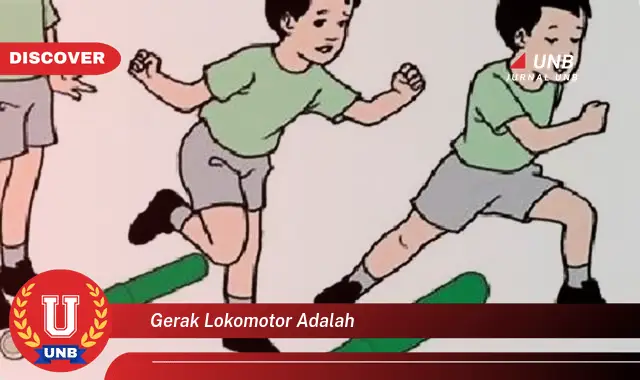 gerak lokomotor adalah