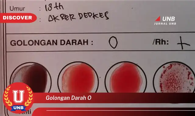 golongan darah o