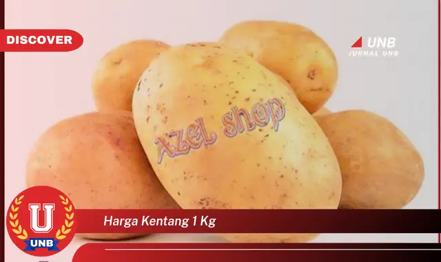 harga kentang 1 kg