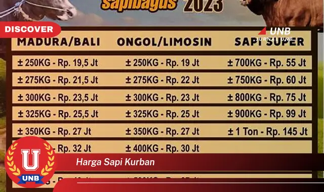 harga sapi kurban