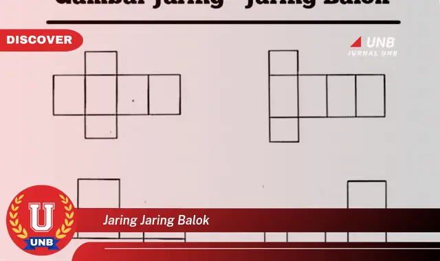 jaring jaring balok