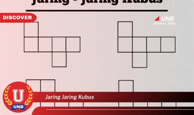 jaring jaring kubus