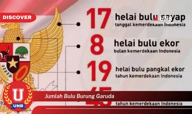 jumlah bulu burung garuda