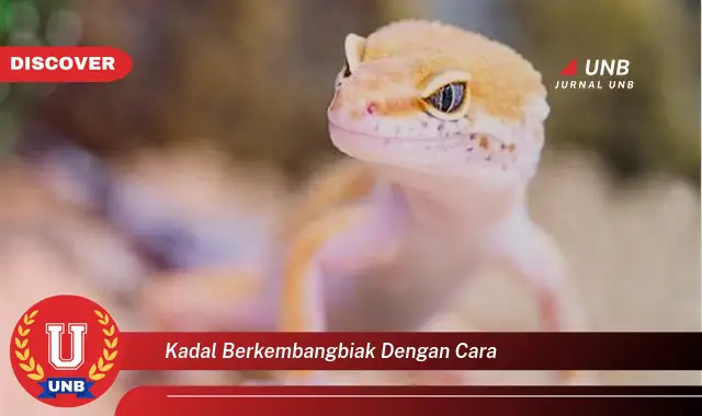 kadal berkembangbiak dengan cara