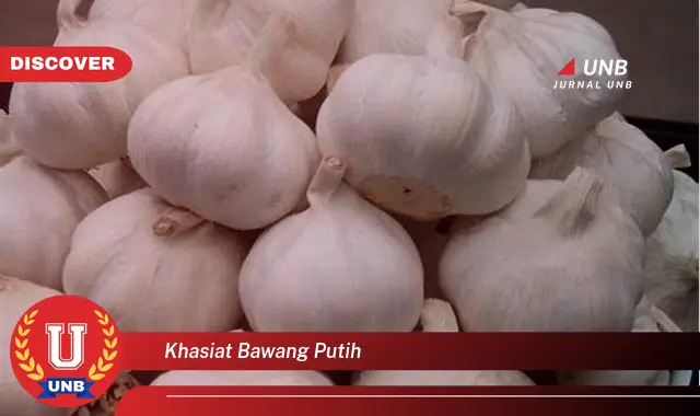 khasiat bawang putih