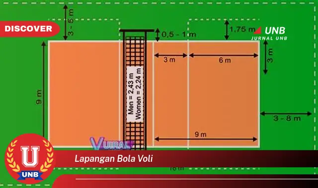 lapangan bola voli