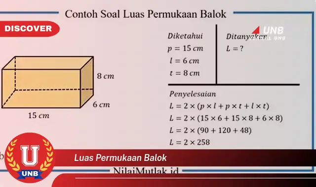 luas permukaan balok