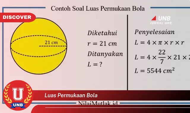 luas permukaan bola