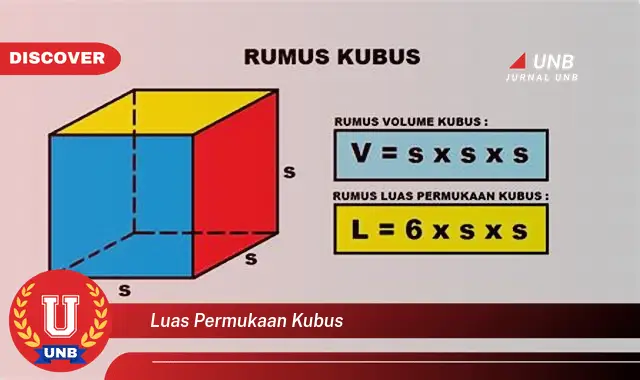 luas permukaan kubus