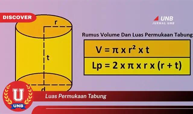 luas permukaan tabung