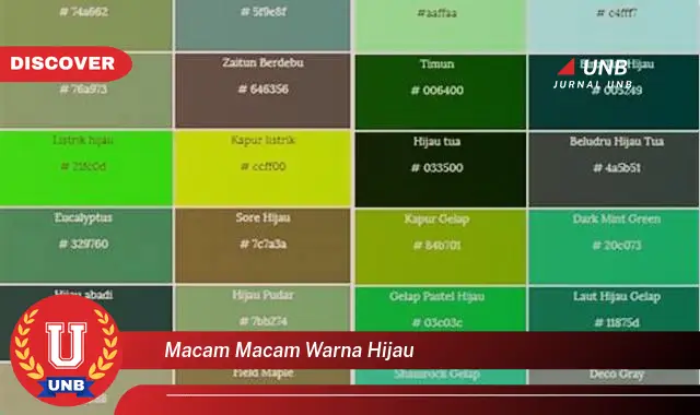 macam macam warna hijau