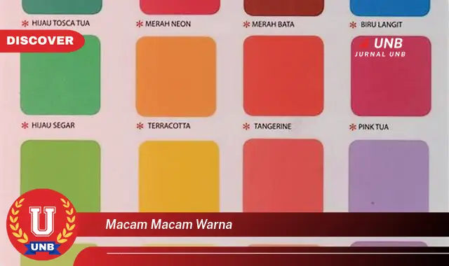 macam macam warna