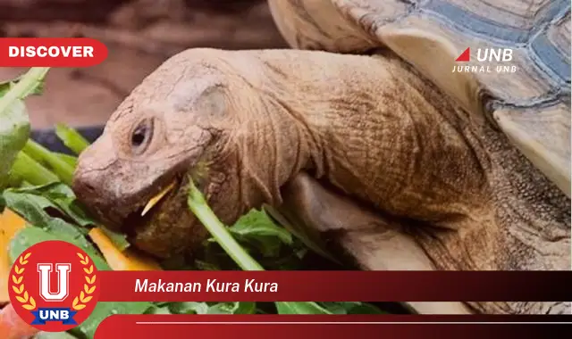 Ketahui Rahasia Penting Makanan Kura-Kura yang Wajib Kamu Intip