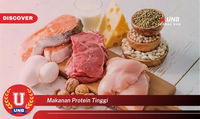 makanan protein tinggi