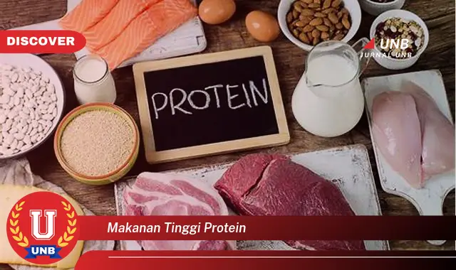 makanan tinggi protein