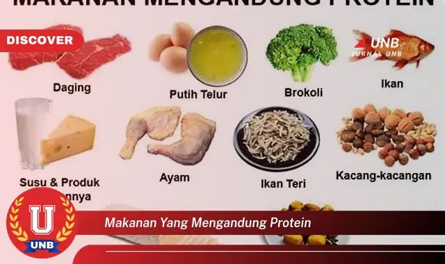 makanan yang mengandung protein