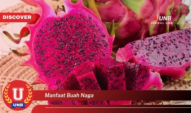 manfaat buah naga