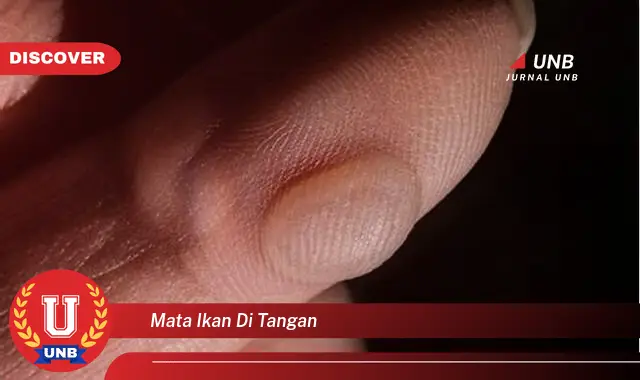 mata ikan di tangan