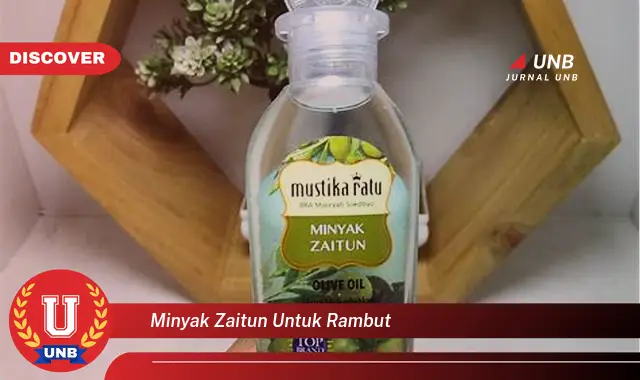 minyak zaitun untuk rambut