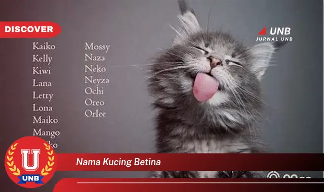 nama kucing betina