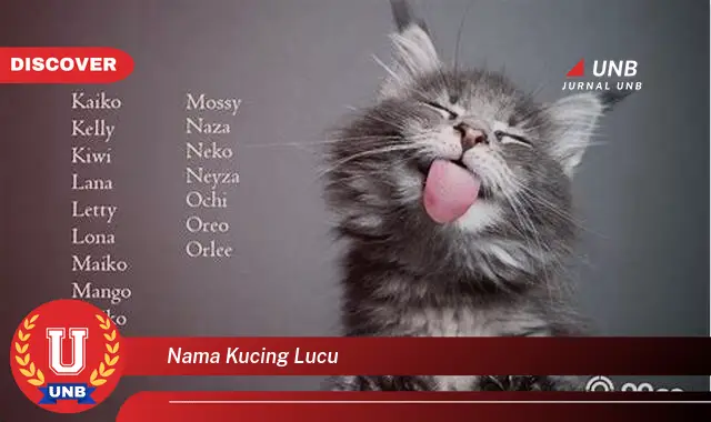 nama kucing lucu